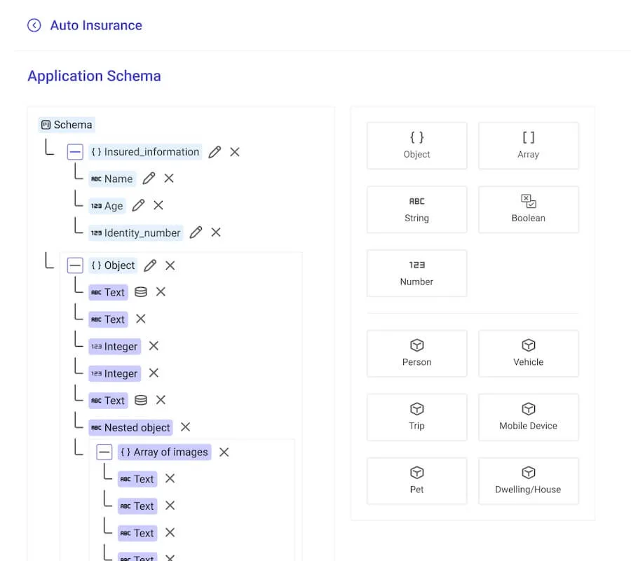 application schema snippet