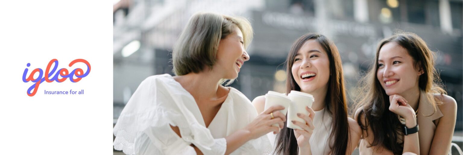 igloo generic press banner