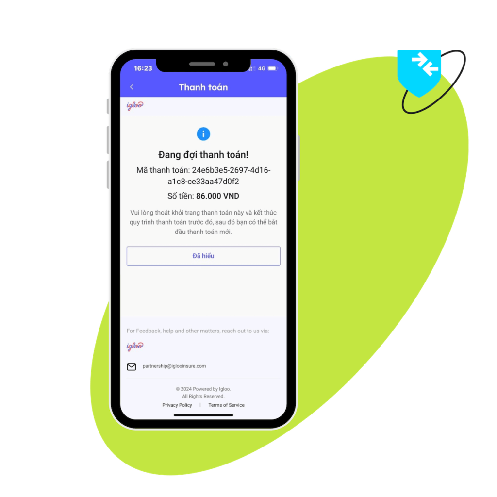 ignite secure payment processing