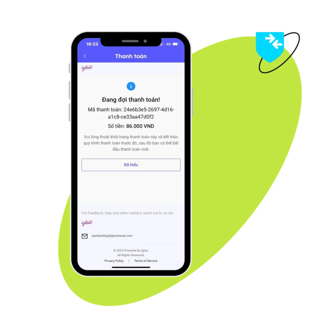 ignite secure payment processing