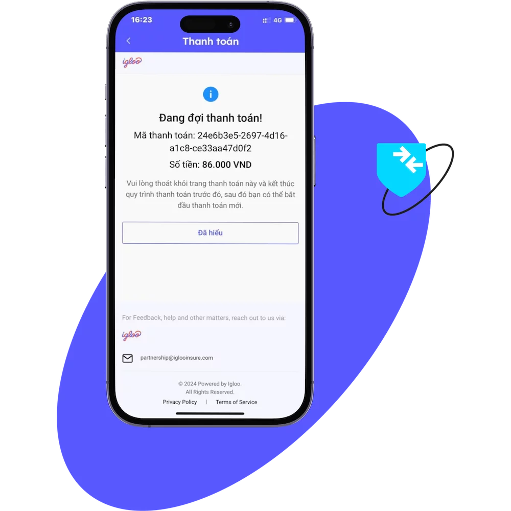 ignite secure payment processing vn