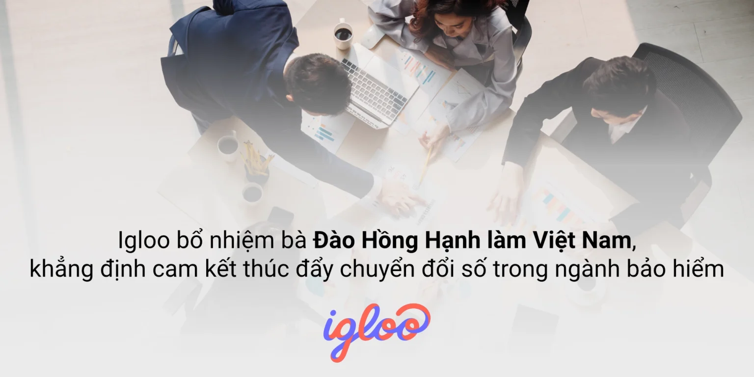 tracy dao cm vn press banner vn